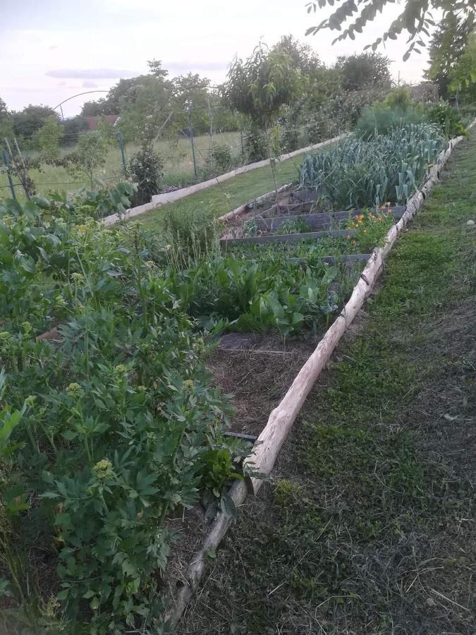 Lopatinec Ruralna Kuca Za Odmor Pozojova Hiza - Rural Holiday House المظهر الخارجي الصورة