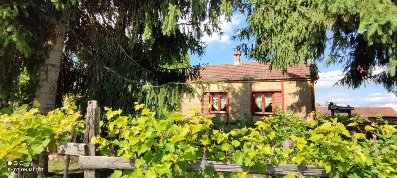 Lopatinec Ruralna Kuca Za Odmor Pozojova Hiza - Rural Holiday House المظهر الخارجي الصورة