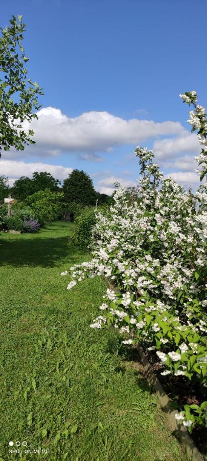 Lopatinec Ruralna Kuca Za Odmor Pozojova Hiza - Rural Holiday House المظهر الخارجي الصورة